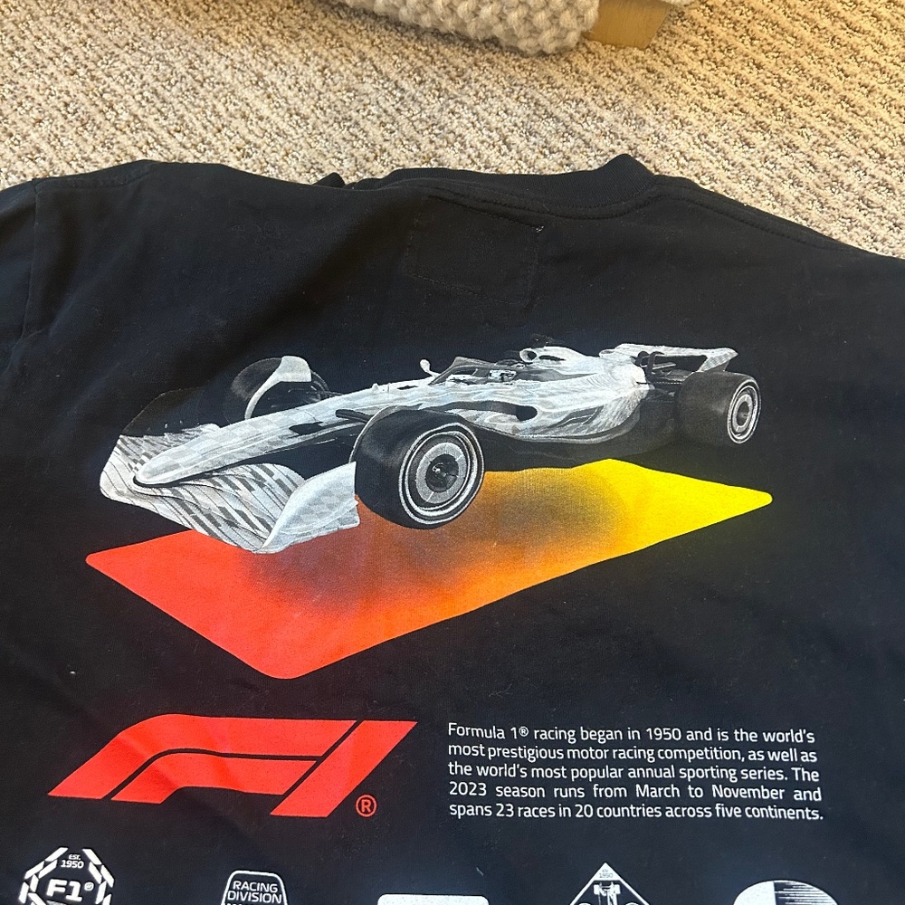 Pacsun F1 oversized tee!